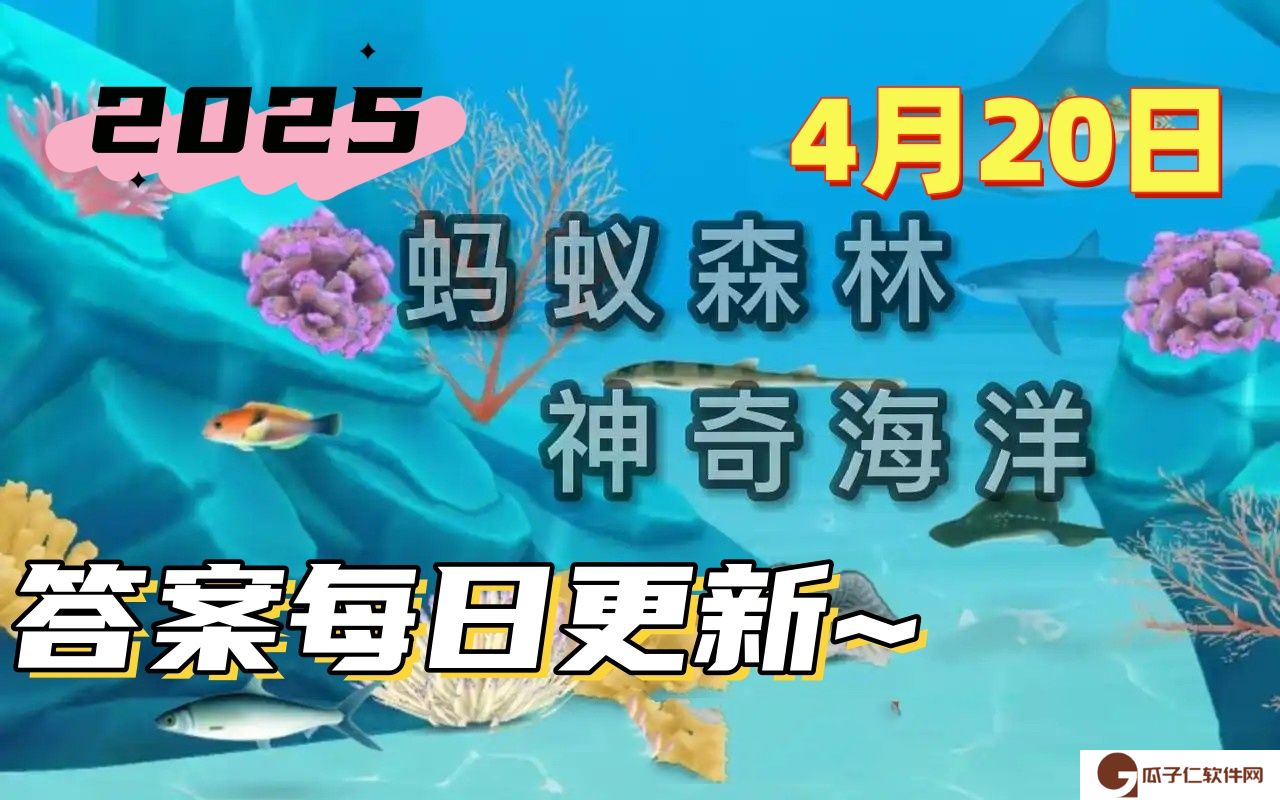 在北极海洋生态系统中以下哪一项发挥着重要作用