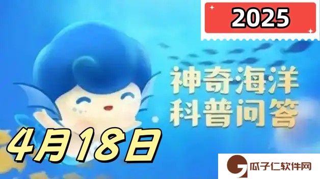 以下关于盐沼的说法哪个是正确的