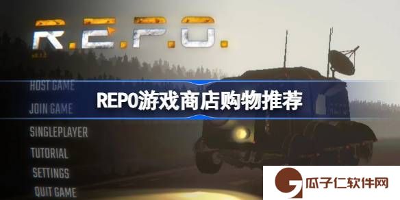 REPO游戏商店购物该怎么购买-REPO游戏商店购物推荐