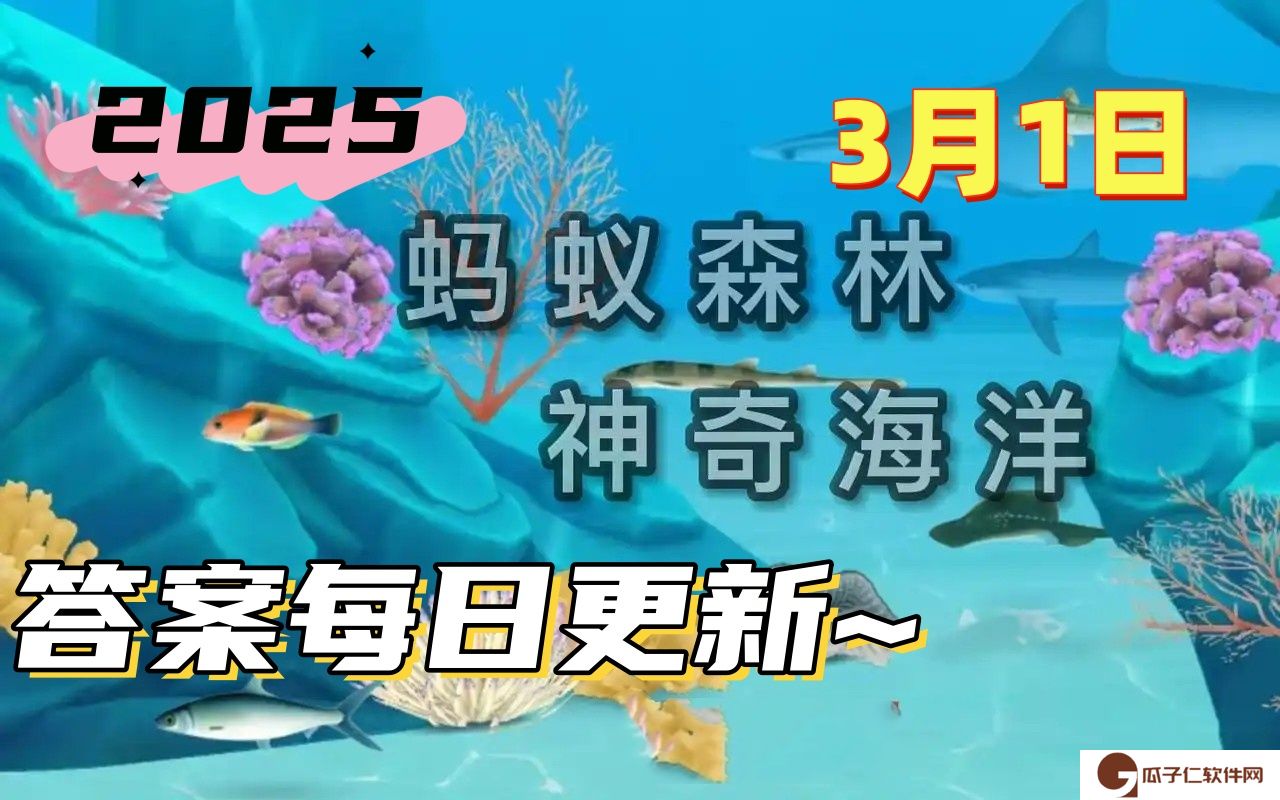 尖嘴海豚是以下哪种海豚的俗称