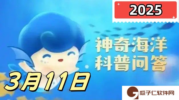 鲨鱼有胎生的种类吗