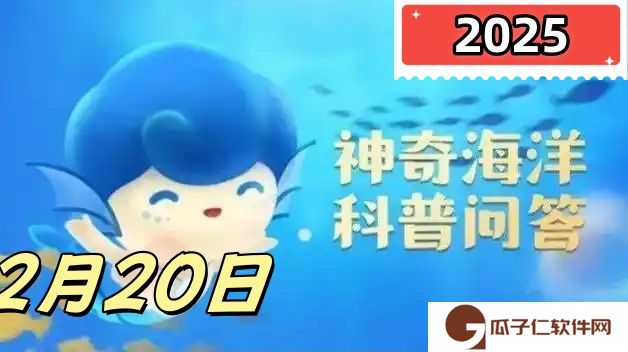瓷蟹属于以下哪种动物