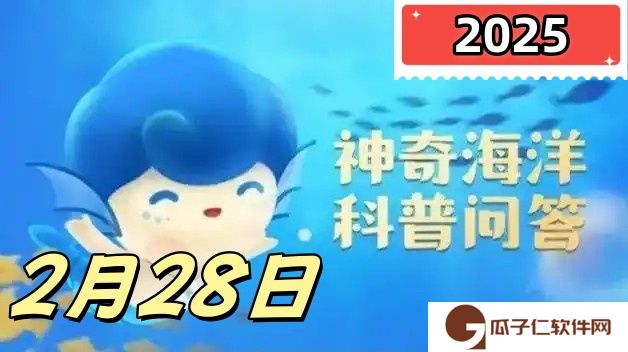 海豚有牙齿吗