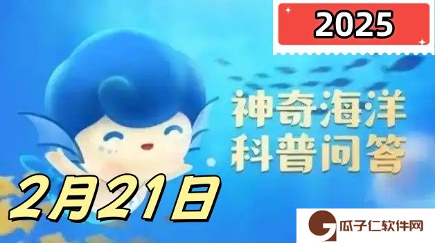 海豚的声呐系统位于哪里