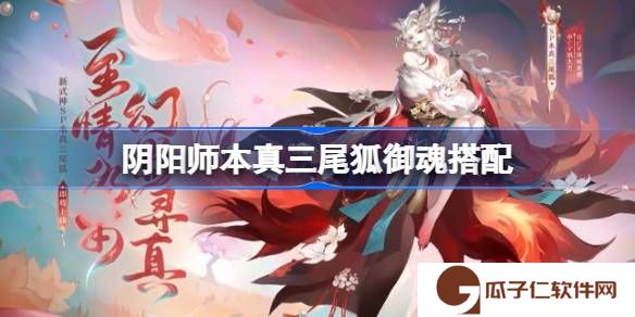 阴阳师本真三尾狐御魂搭配-阴阳师本真三尾狐御魂推荐