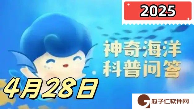 刺参就是有刺的海参吗