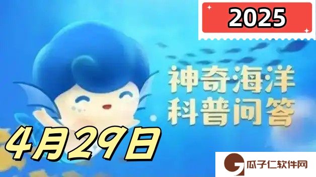海参是软体动物吗