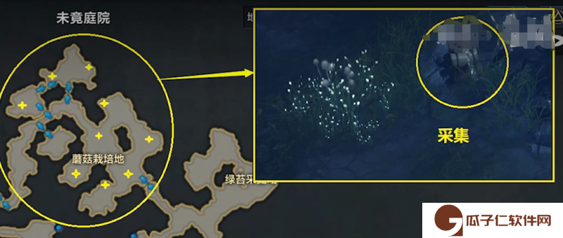 命运方舟*炒蘑菇获取方法地点图一