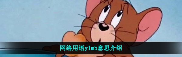 网络用语ylmb意思介绍