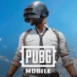 绝地求生PUBG国际服官方正版下载