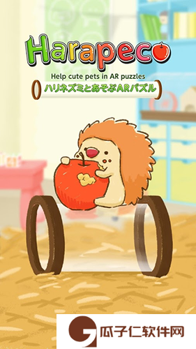 小刺猬的AR迷宫下载