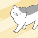 猫真可爱下载